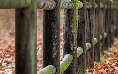 Consequatur impedit atque veniam quos.